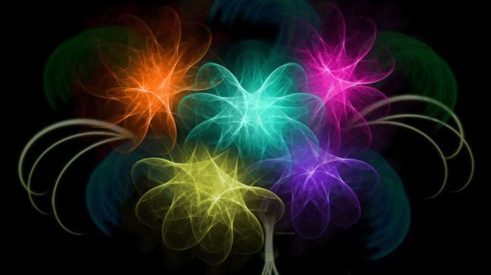 flowerfractal - abstract