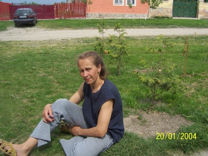 31125043_BYITCCGMT - Poze detoate