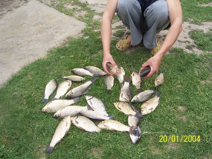 31125045_OVFPDAWLP - Poze detoate