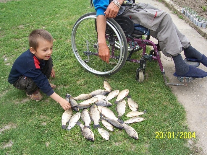 31125046_MLIZOJBWT - Poze detoate