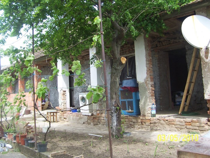 31125052_IYRRRHLEM - Poze detoate