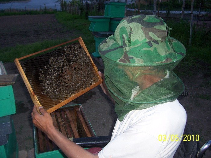 31125060_LOLOUDYHV - Poze detoate