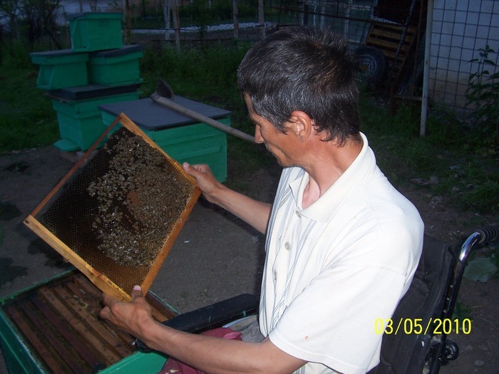 31125061_NPEZTDIAE - Poze detoate