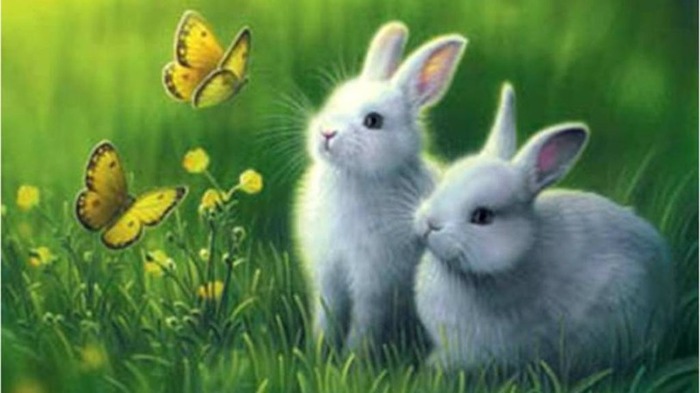 Spring and Bunnies