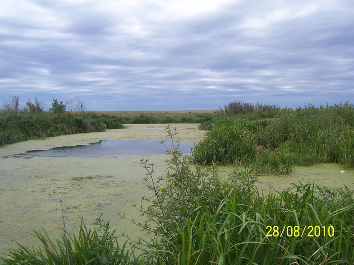 Picture 004 - Poze detoate