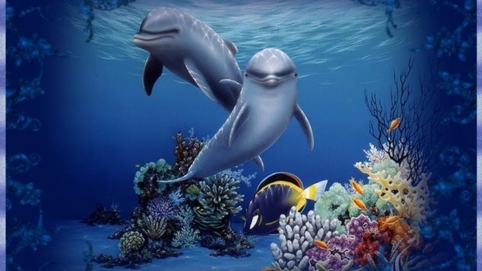 31576-1024x576-underwater_enchantment