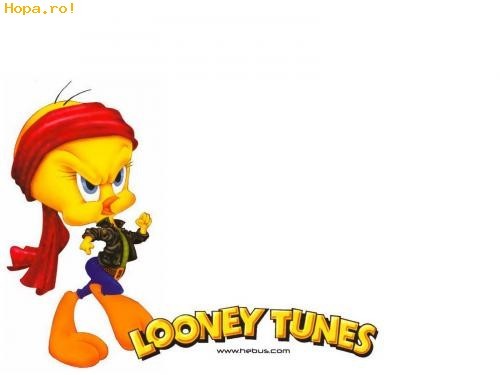 Looney Toons - Xx Cartoon Pictures