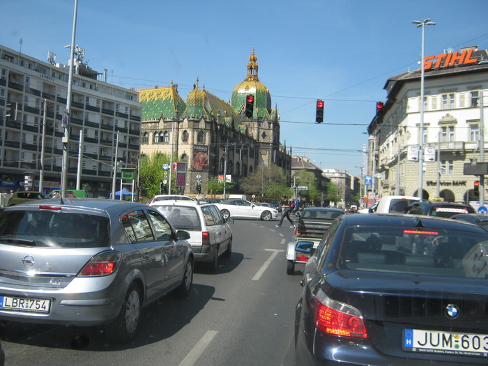 trec prin Budapesta cu oile suffolk - citeva poze