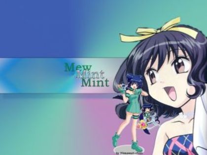 Mint 4 - Corinna Bucksworth - Mint Aizawa