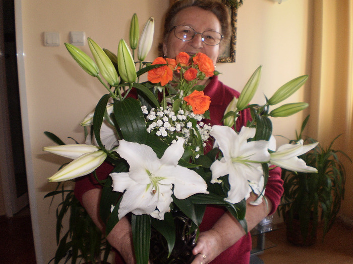 CRINI SI TRANDAFIRI - EVENIMENTE 2008_2010_2011