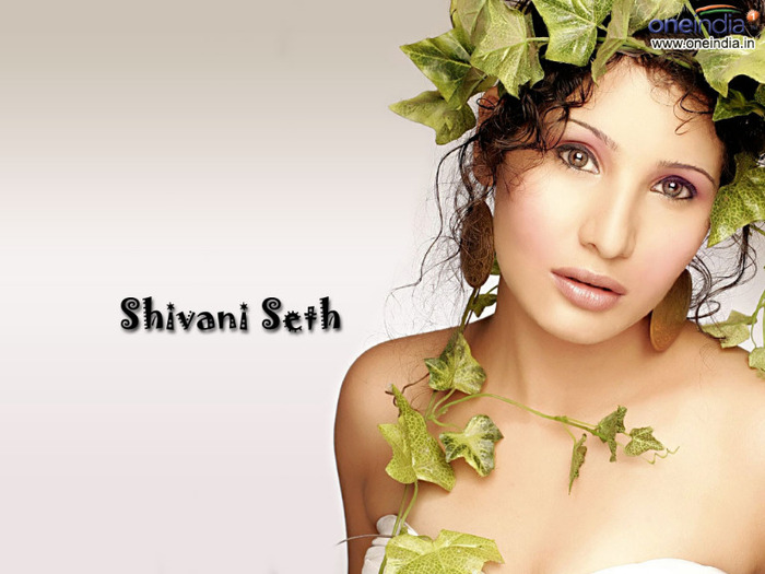Shivani Seth-actrita telugu cunoscuta