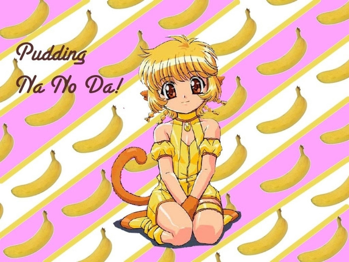 Pudding-Tokyo Mew Mew - Kikki Benjamin - Fong Pudding