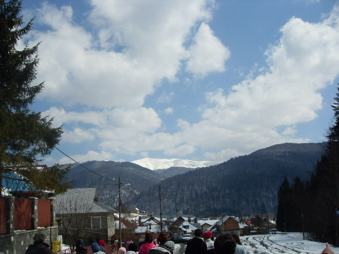 SDC18802 - DIVERSE din busteni