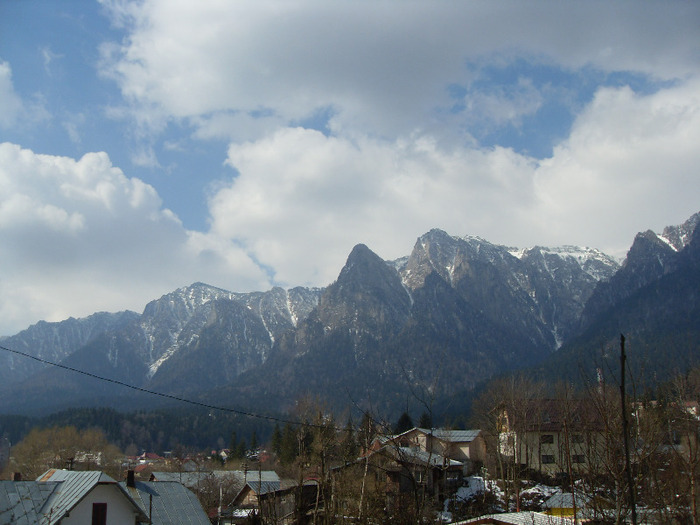 SDC18806 - DIVERSE din busteni
