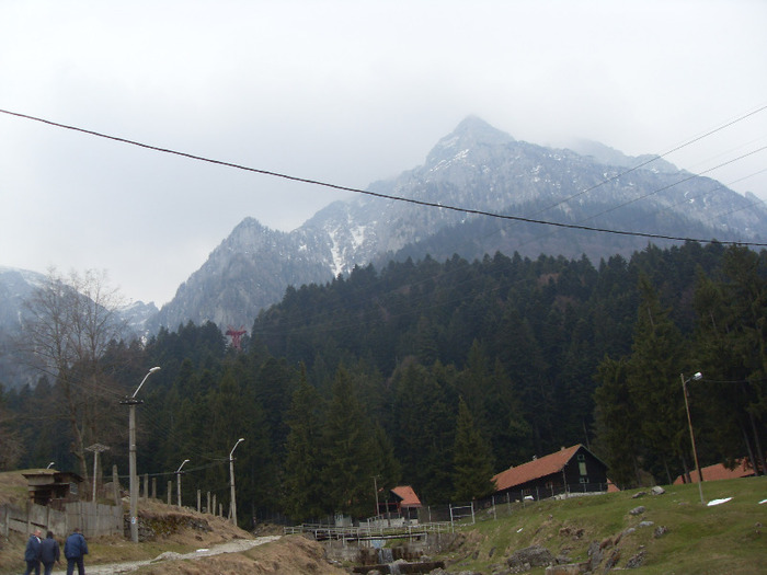 SDC18821 - DIVERSE din busteni