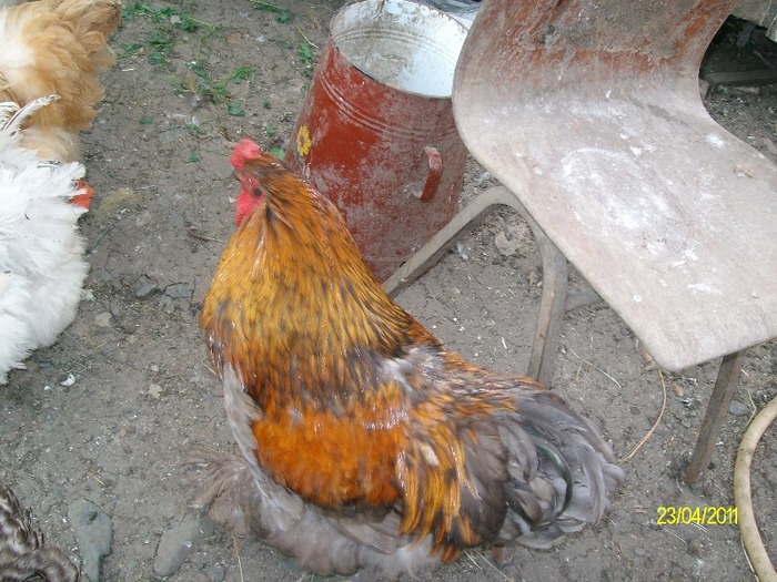 SANY5652