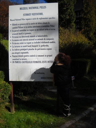 bnvbnm (90) - Alina Dinca de la romanii au talent