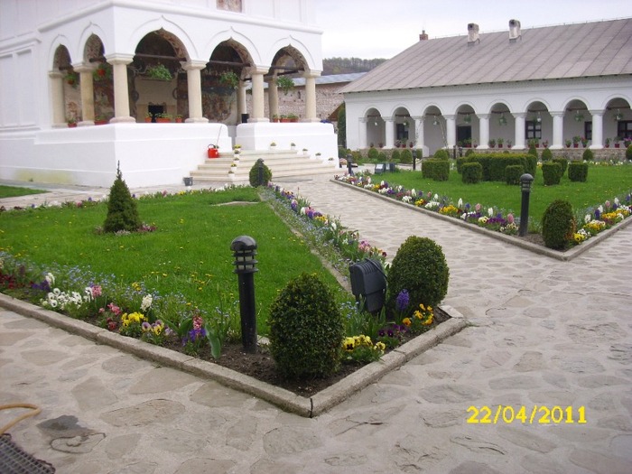 DSCI1572 - Manastirea Aninoasa