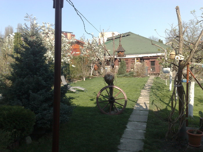 gradina 004