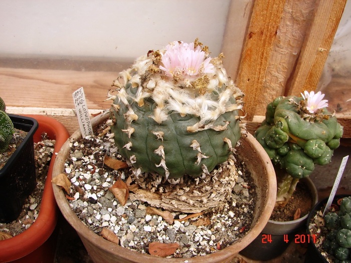 DSC09278