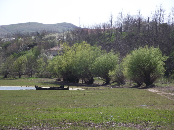 DSCF2887 - somova delta dunarii foto