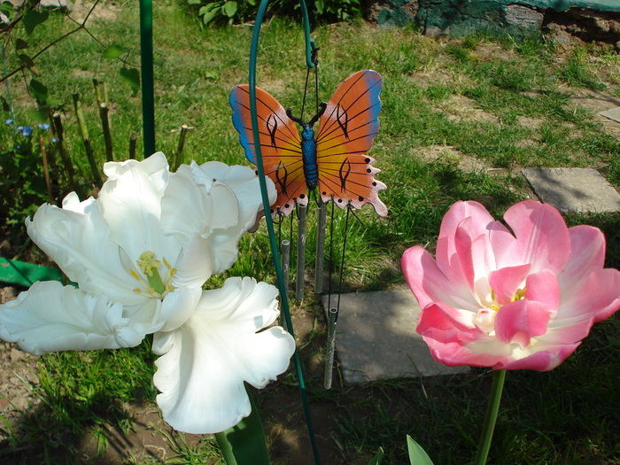 DSC03140