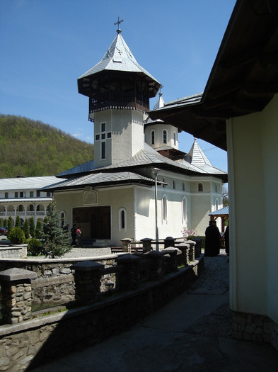 DSC05917 - manastirea Crisan Hunedoara