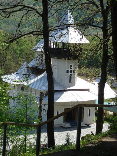 DSC05942 - manastirea Crisan Hunedoara