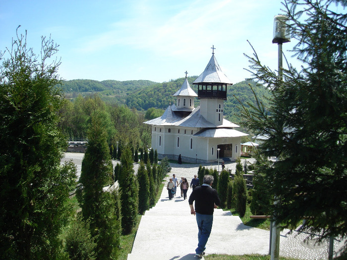 DSC05944 - manastirea Crisan Hunedoara