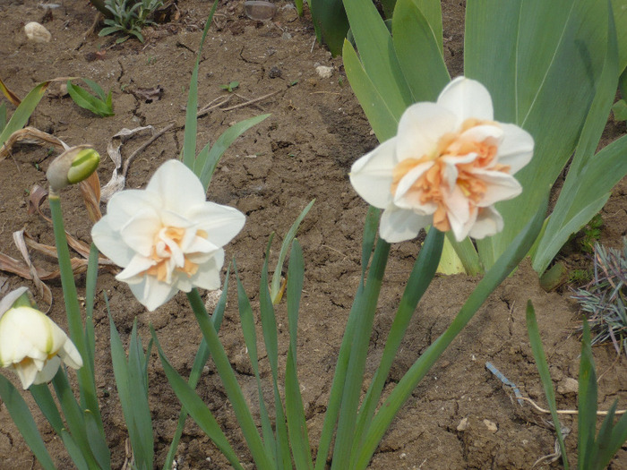 008