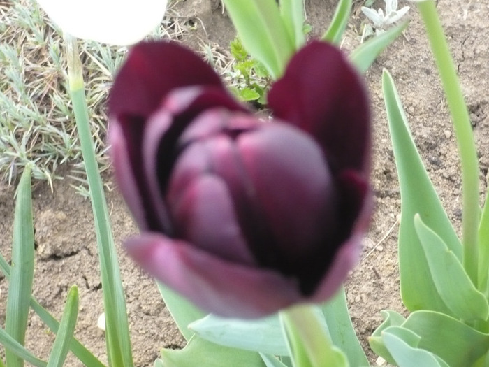 022