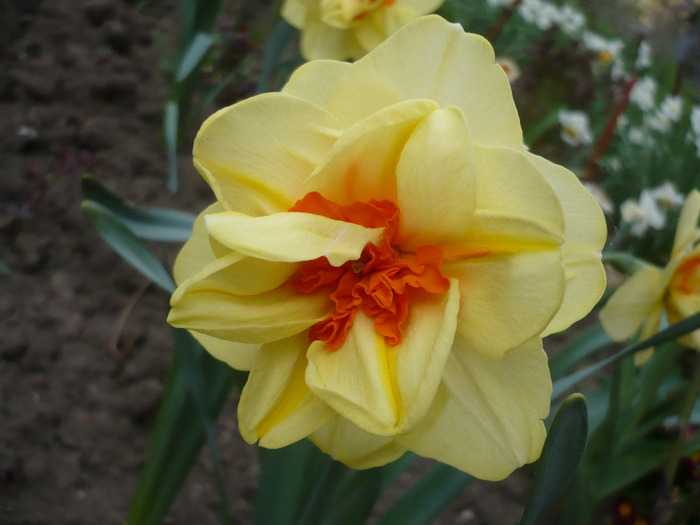028