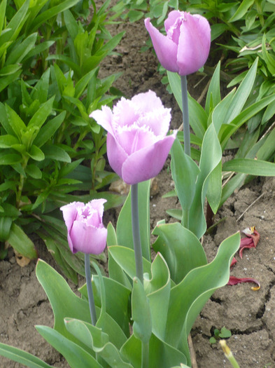030