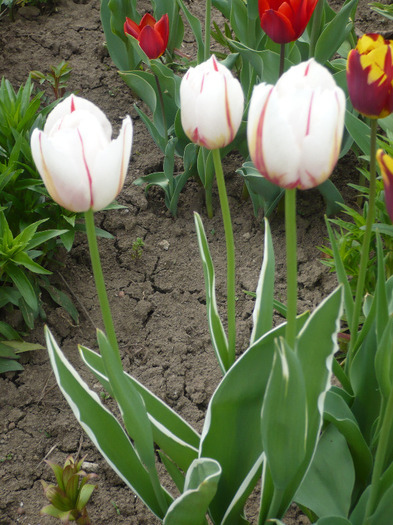 032