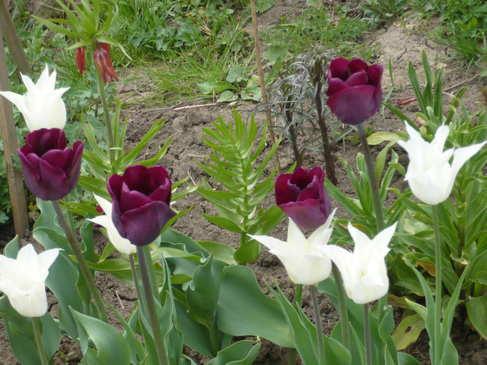 034