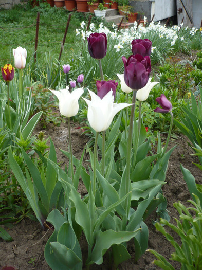 042