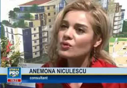 anemona