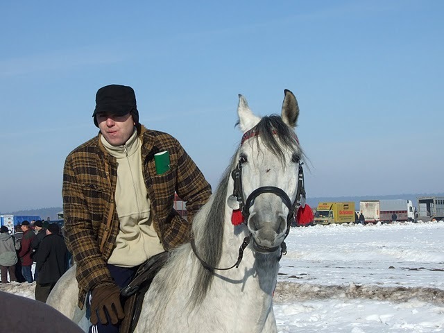 DSCF5146