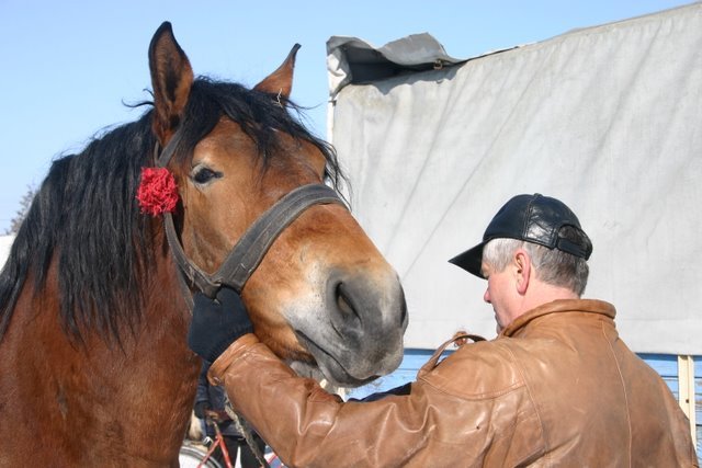 skaryszew_2010 (11)