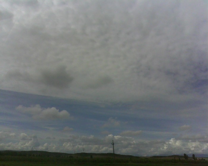 IMG0951A