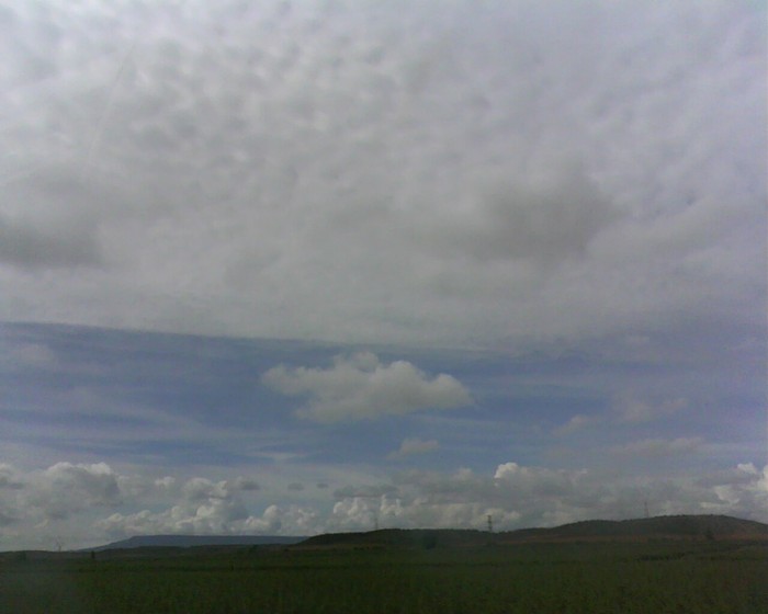 IMG0953A