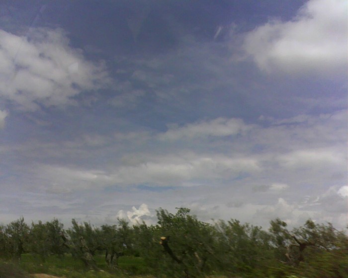 IMG0960A