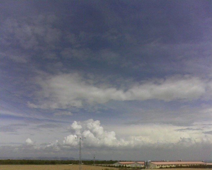 IMG0961A