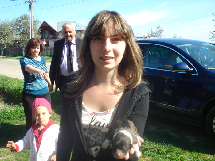 CINE DORESTE UN CATELUS?