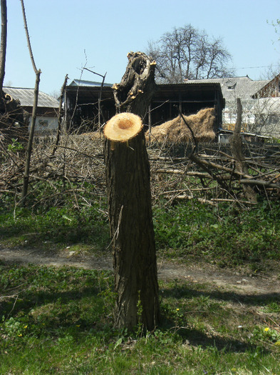 25 aprilie 2011 075