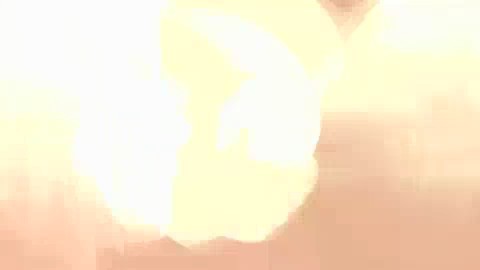 bscap0064