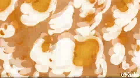 bscap0241