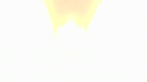 bscap0273