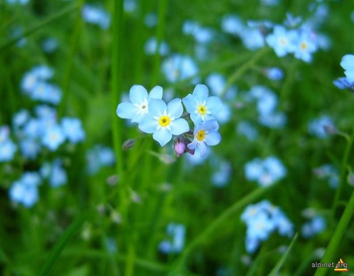 NDlmZmE4OTg0YmJmNDhiNzlhMTI4ZTA2MTUyYzY0ZTfoto_72484