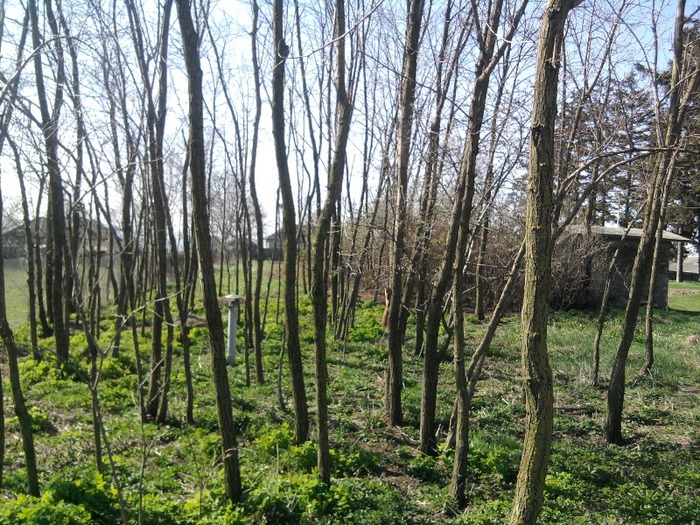 Fotografie0337 - LA FERMA MEA
